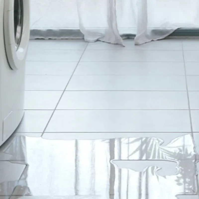 Appliance Leak Cleanup in Monroe County, GA