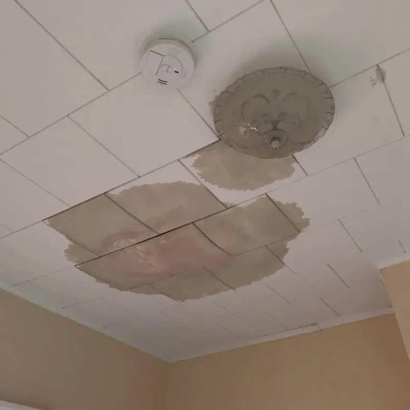 Ceiling Water Damage Repair in Monroe County, GA