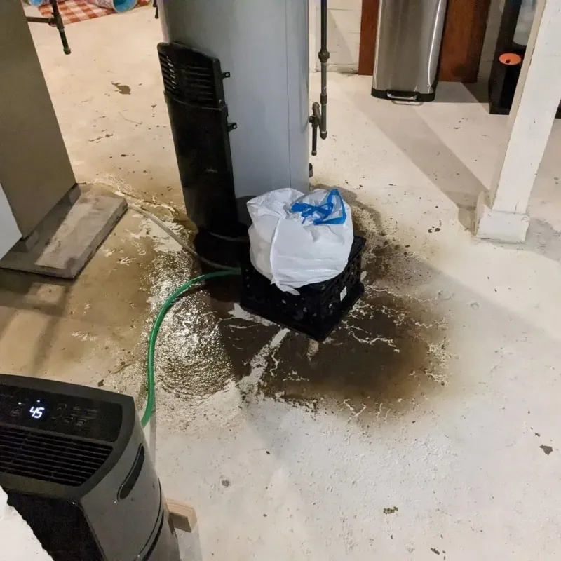 Sewage Backup Cleanup Service in Monroe County, GA